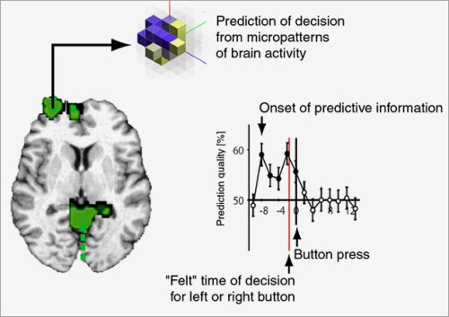 This schematic shows the brain regions (green) from which the outcome of a participant's decision can be predicted before it is made. Courtesy John-Dylan Haynes.   